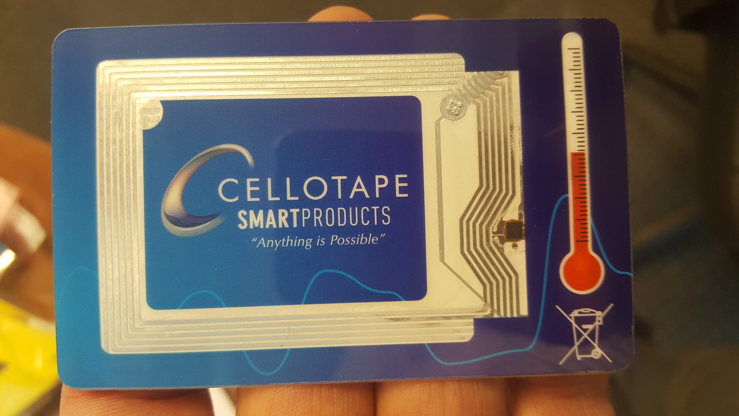 Smart Temperature Data Logger PaladinID