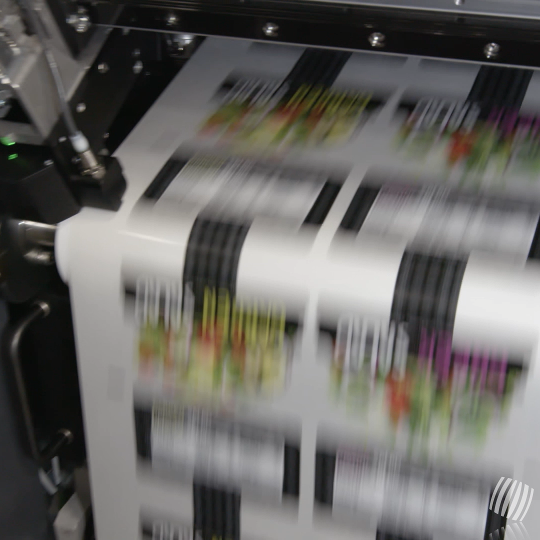 print-quality